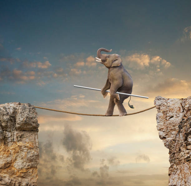 Conceptual image of elephant walking tightrope across gap