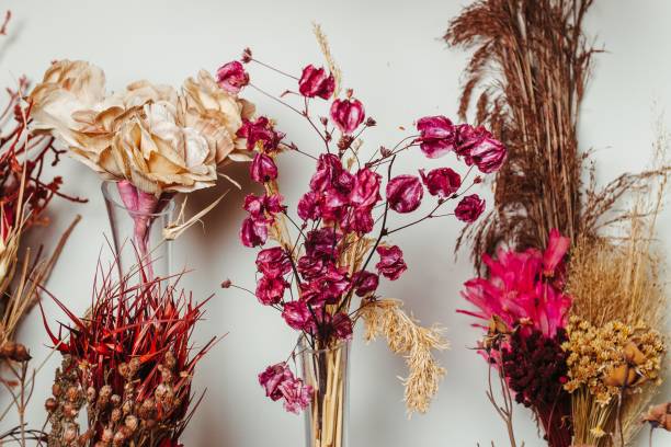 istock Vibrant dried flower arrangement. 2179507716