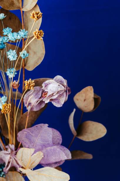 istock Vibrant dried flower arrangement on blue. 2179507728