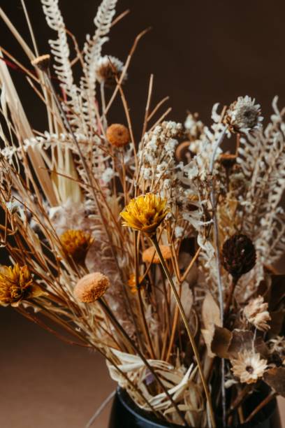 istock Dried flower bouquet in black vase 2179507800
