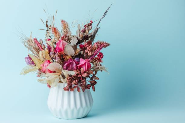 istock Vibrant dried flower arrangement in white vase. 2179507802