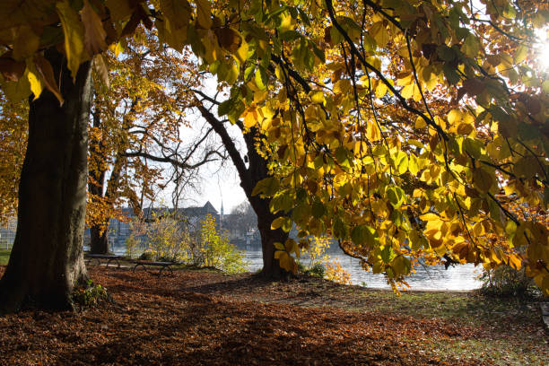 istock Autumn in the park 2179513070