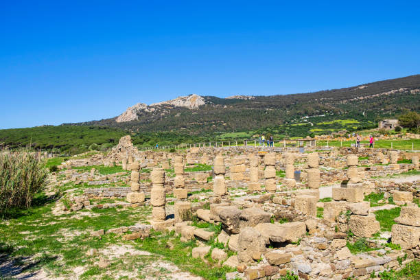 Uncovered excavations with an old tower in the background near the town of Nora on the island of Sardinia