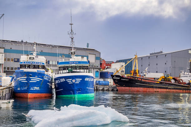 Ilulissat, Jakobshavn, Greenland, Denmark - August 29th 2024:  Trawlers moored in the natural harbor which is an important part of the Greenlandic economy