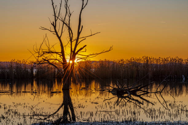 Lake Trasimeno, Perugia, Umbria, Italy:Naturalistic Oasis La Valle on Lake Trasimeno