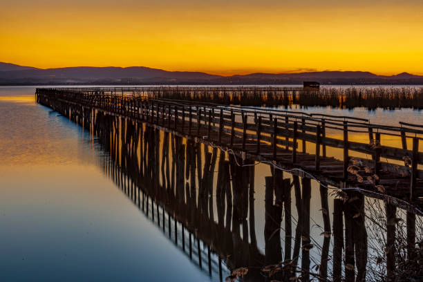 Lake Trasimeno, Perugia, Umbria, Italy:Naturalistic Oasis La Valle on Lake Trasimeno