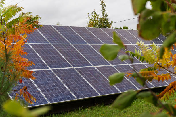 istock This setup features solar panels nestled among vibrant greenery, taking advantage of available sunlight despite the overcast conditions 2179532289