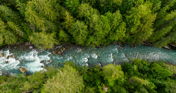 istock Bird's-eye view of wild river in forest 2179533070