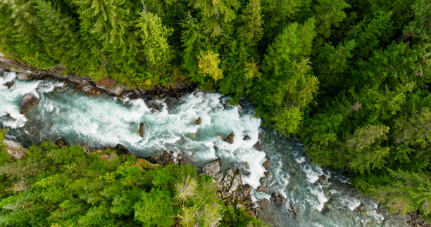 istock Bird's-eye view of wild river in forest 2179533072