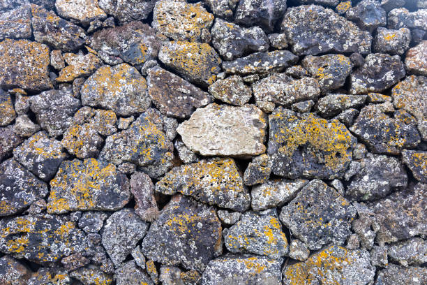 Background image formed by a wall of volcanic stones with lichens.
