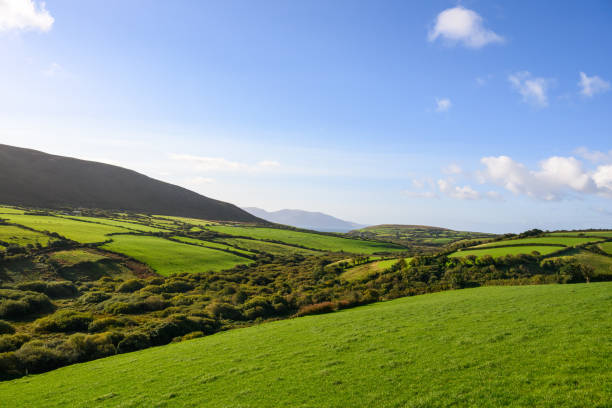 istock Dry stone wall seperated farm land on Dingle Peninsula, County Kerry 2179569062