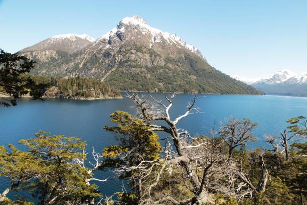 istock Lake view behind the forest trees 2179575375
