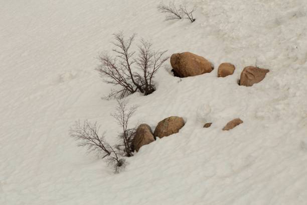 Winter time with white snow covering  soil, cold weather