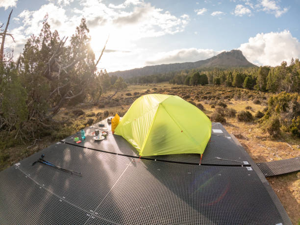 istock Tent set up on an elevated platform in the middle of the bush 2179577580