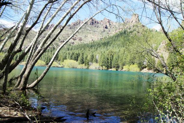 istock Emerald color lake surrounded by trees 2179577888