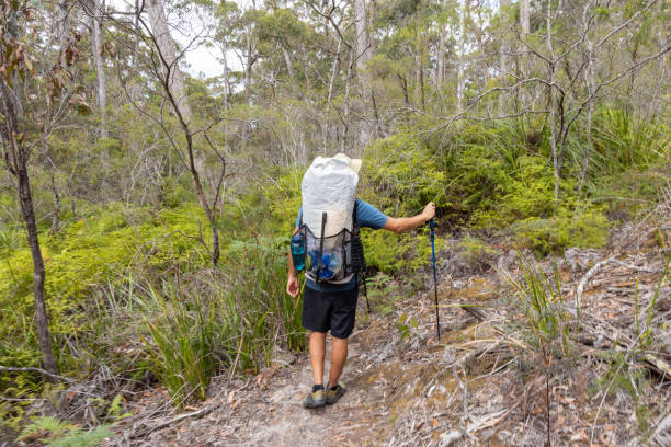 istock Back View of Hiker with Backpack on Forest Trail 2179579609
