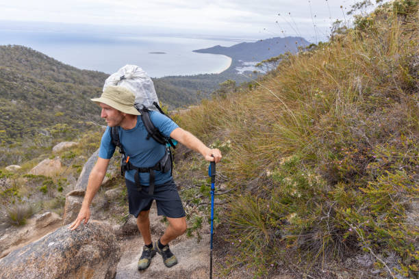 istock Male Hiker with Trekking Pole Climbing Mountain Trail 2179580722