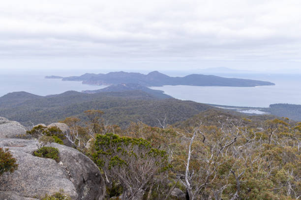 Panoramic view of a mountain range with a coastal lagoon, surrounded by lush forest and rocks under an overcast sky.