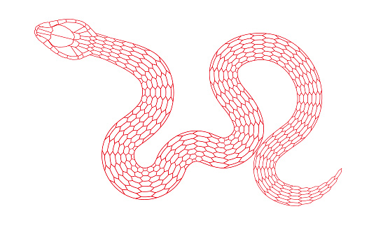 Snake Line Patterns Cartoon Snake Pattern With Red Line Stroke Stock Illustration ...