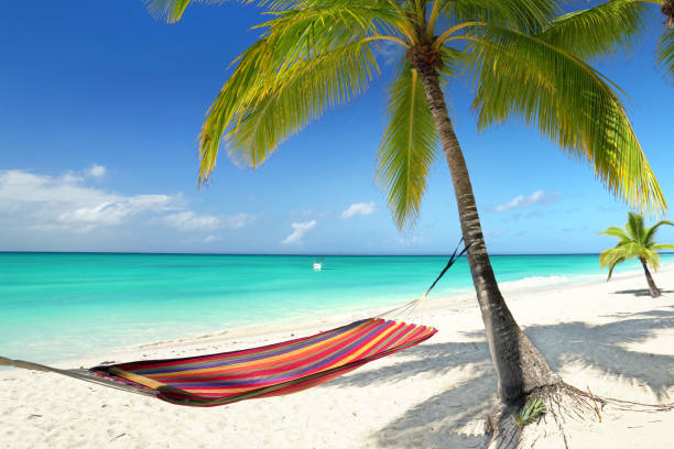 istock summer day at the beach 2179586251