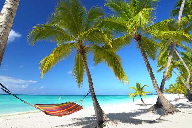 istock beautiful relaxing time at the beach 2179586275