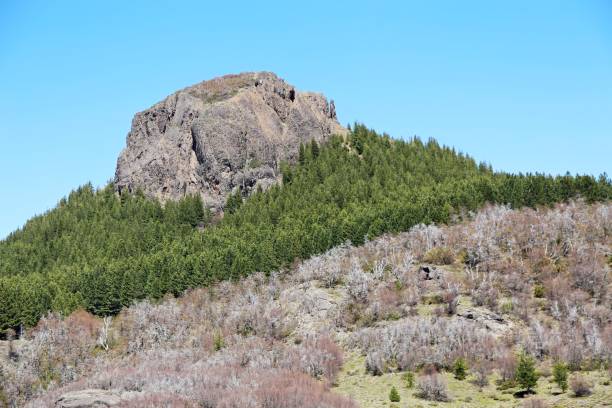 istock Geological formation rocky in middle pine tree forest 2179586673
