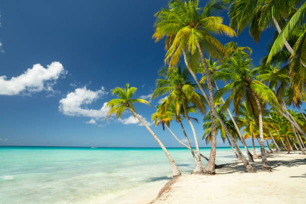 istock tropocal beach with turquoise sea and white sand 2179586732