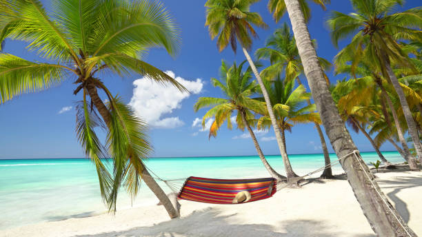 istock island with colorful hammock on palm trees 2179586844