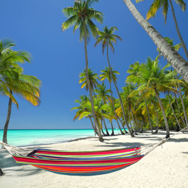 istock relaxing hammock in palm garden 2179586941