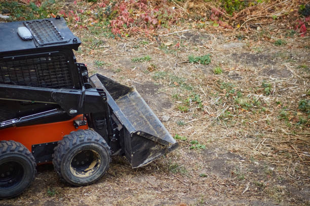 istock Loader clearing the area for construction, cleaning vegetation with the loader's front bucket from the overgrown site, preparation for construction. 2179587198