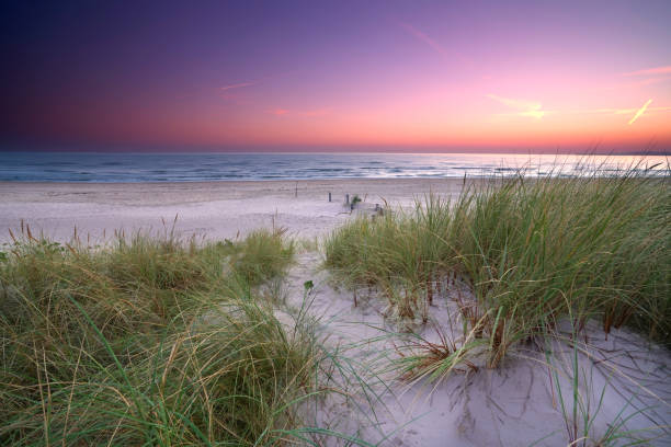 istock landscape in sunrise at the sea 2179587459