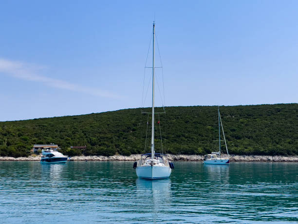 istock sailboats in the bay 2179588137