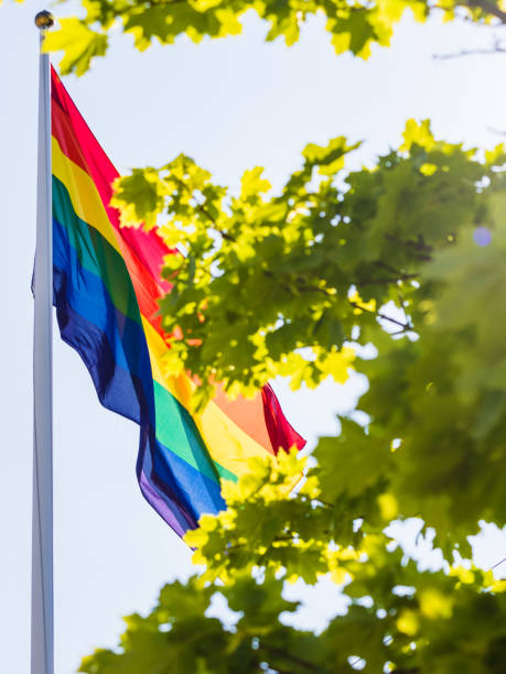 istock Colorful Pride Flag Waves in Sky with Billowing Clouds and Wind 2179591828