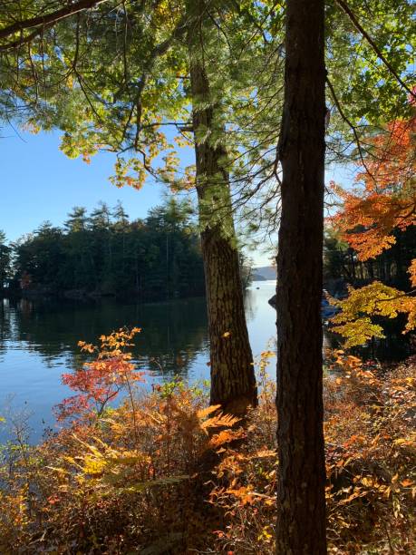 istock Autumn on Lake George 2179593661
