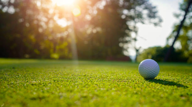 istock Golf ball on green grass in the evening golf course with sunshine background. 2179593739