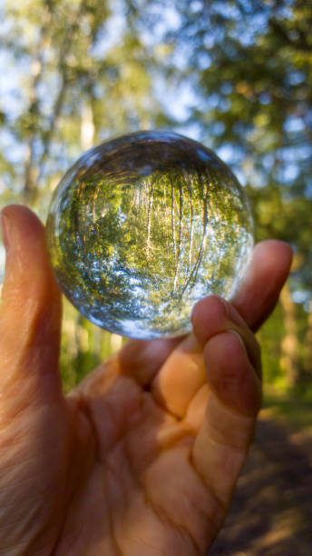 istock Glass ball in hand with landscape behind it - trees, forest and sun 2179596523