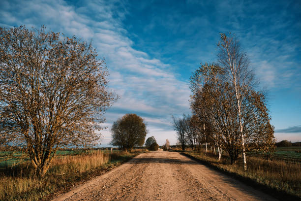 Dirt road in autumn fields