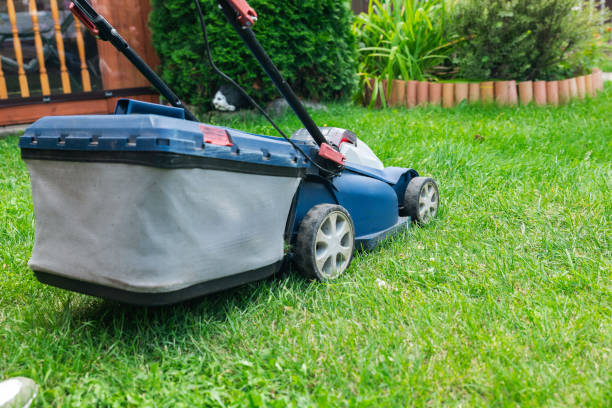 istock Lawn mower cutting green grass in backyard. Gardening background. 2179604974