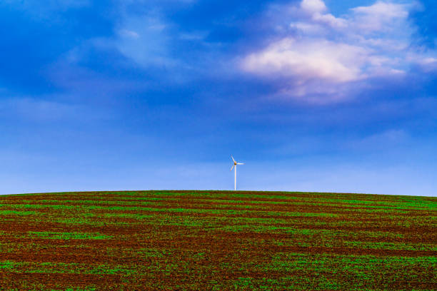 wind turbine on the grass