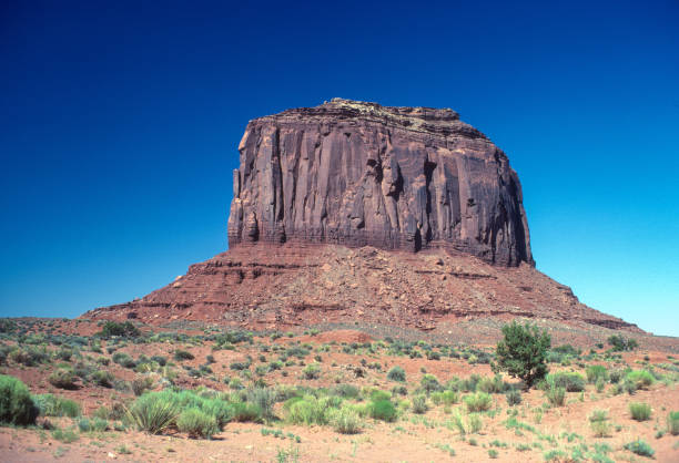 istock Monument Valley - Merrick Butte & Small Tree - 1978 2179607423