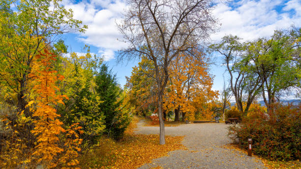 istock Autumnal colors Okanagan 2179618558