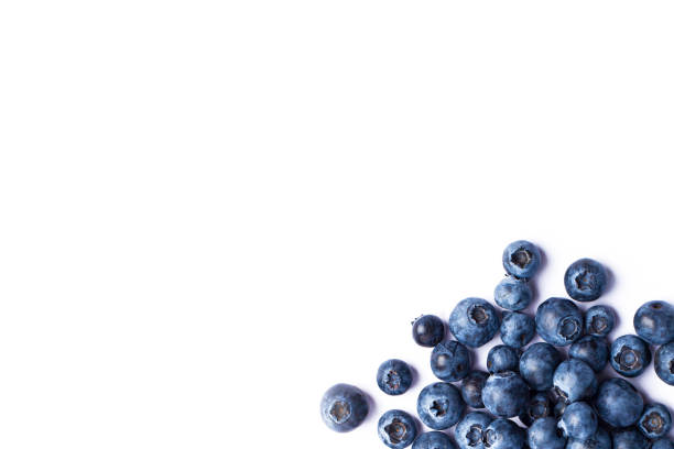 istock Fresh juicy blueberries isolated on white 2179619930