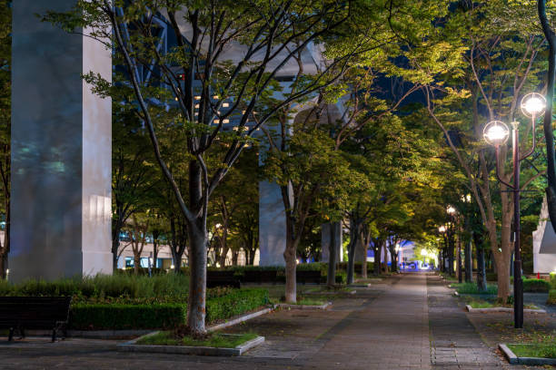 istock Park at night, surrounded by trees with bright street lights. 2179621153