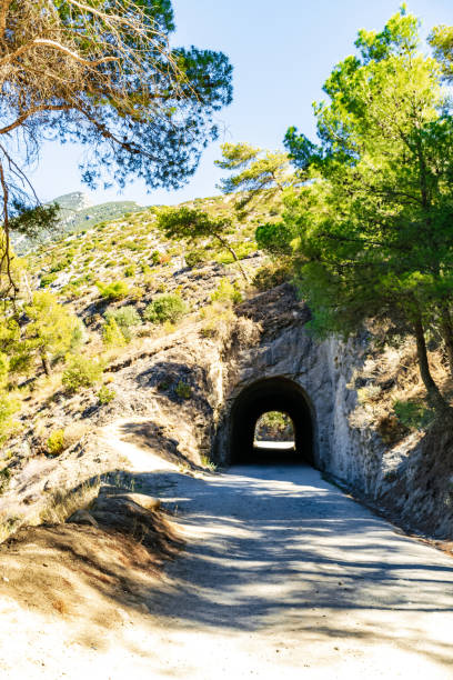 istock A tunnel on a mountain with trees on the side 2179621495