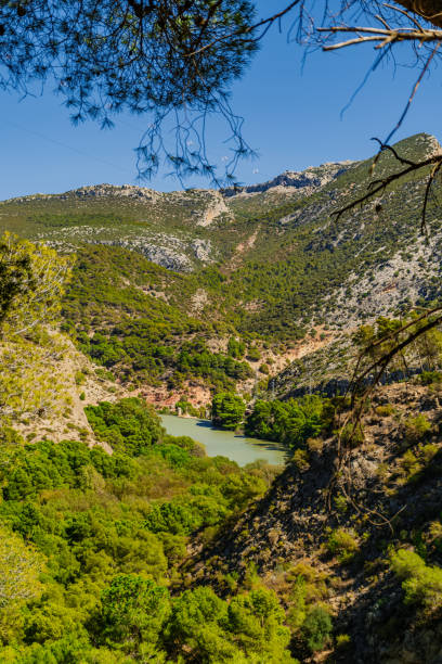 istock A river running through a lush green valley 2179621498