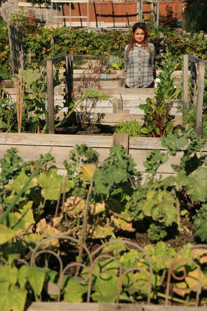 istock Lots Of Garden Boxes 2179625613