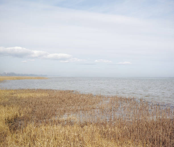 Photo taken on Mashpee Beach, Cape Cod