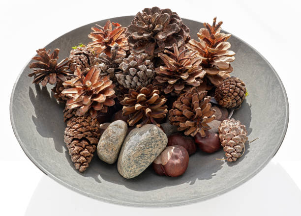 Photo of Cane cones in a ceramic bowl  on white background. Photo taken with a Medium Formate camera. Very detailed and sharp.