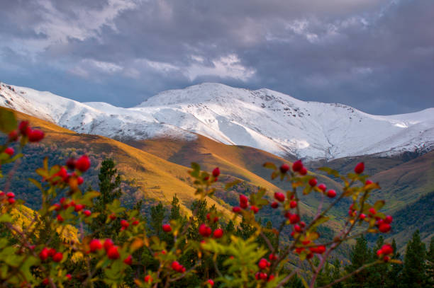 istock autumn mountains landscape in Armenia 2179632933