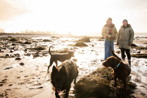 Beach time in the winter. A mother and daughter enjoying walking their dogs on a cool day.